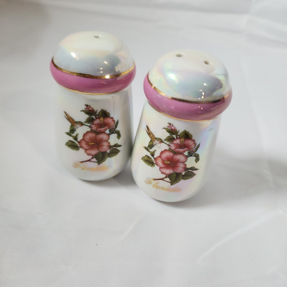 Iridescent Florida Souvenirs Salt and Pepper Shakers